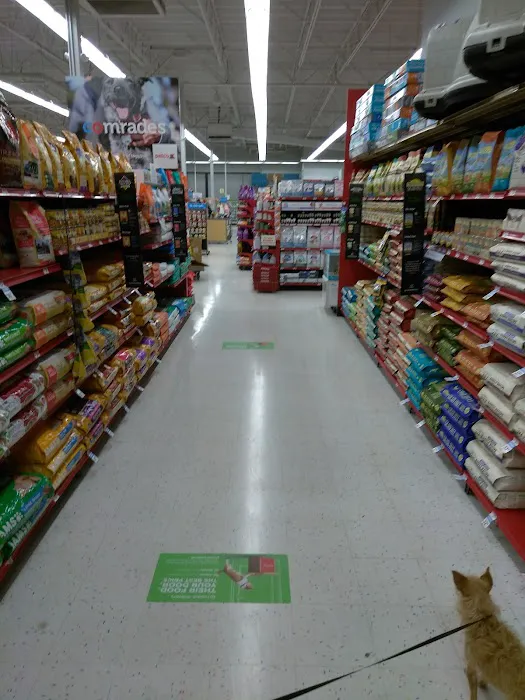 Petco Picture 6