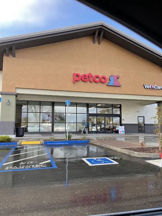 Petco Picture 3