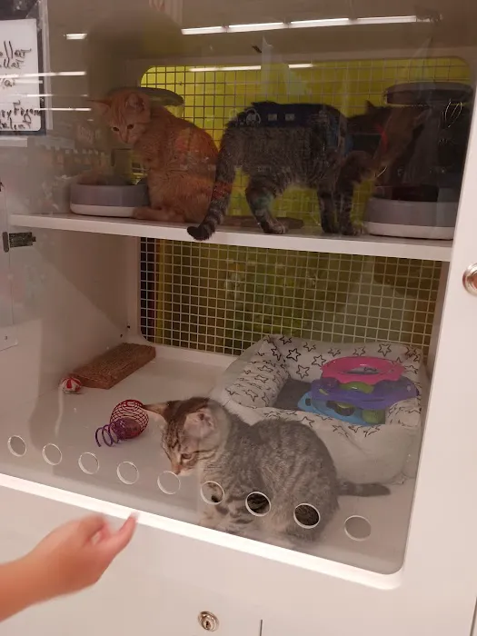 Petco Picture 4