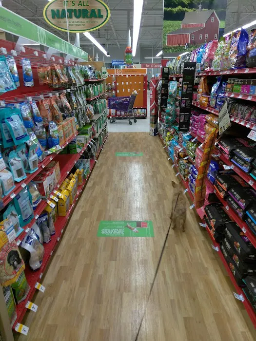 Petco Picture 10