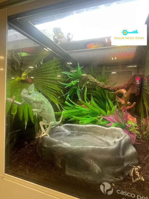 Petco Picture 5