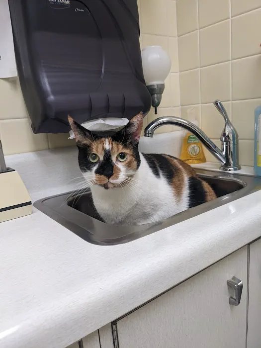 Camillus Animal Clinic, PC Picture 1