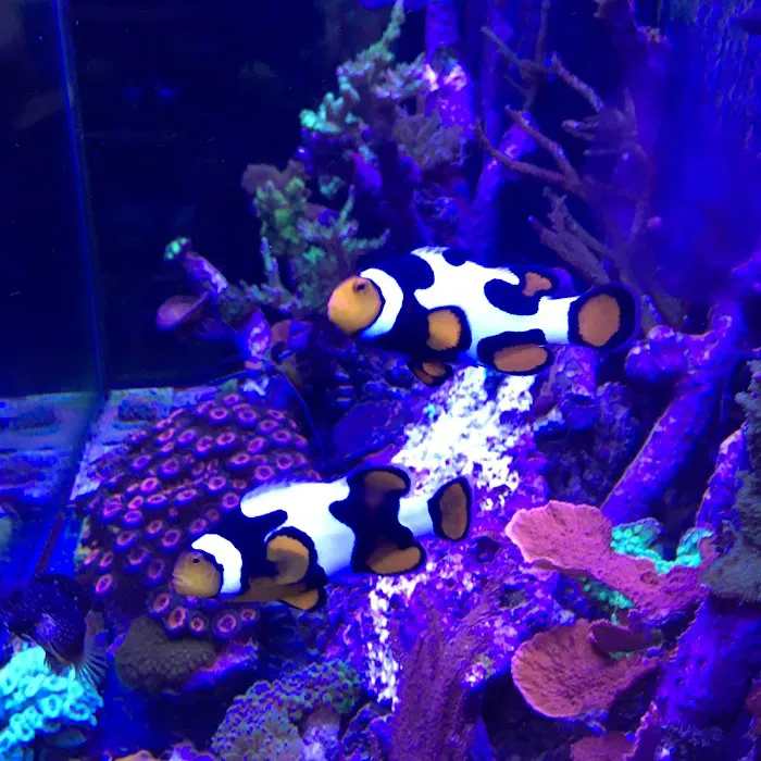 Fish Doctor Picture 3