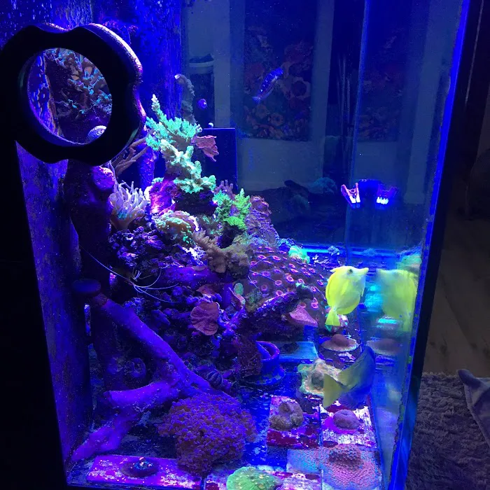 Fish Doctor Picture 10