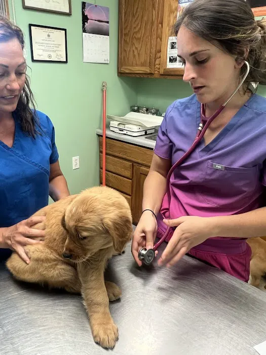 Northampton Animal Hospital Picture 8