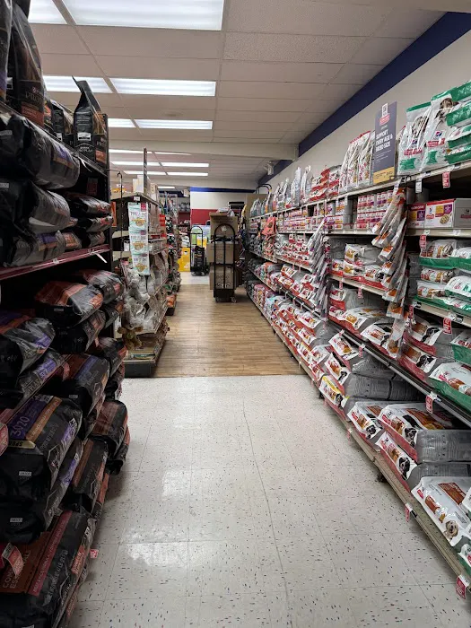 Petco Picture 1