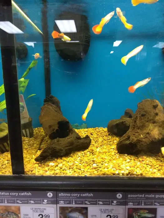 Petco Picture 3