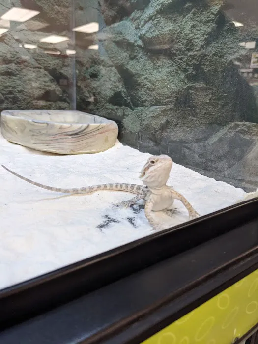 Petco Picture 10