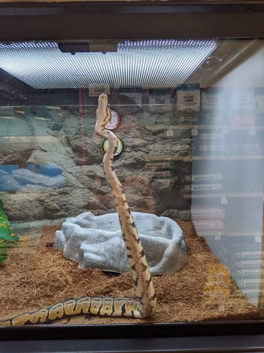 Petco Picture 9