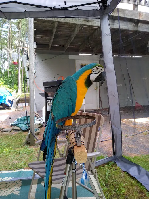 Harmony Veterinary Clinic Picture 5