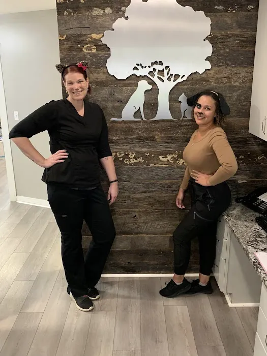 Harmony Veterinary Clinic Picture 7