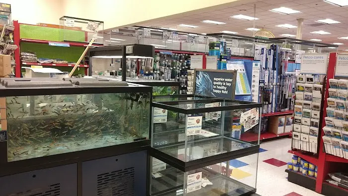 Petco Picture 5