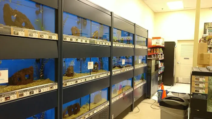 Petco Picture 3