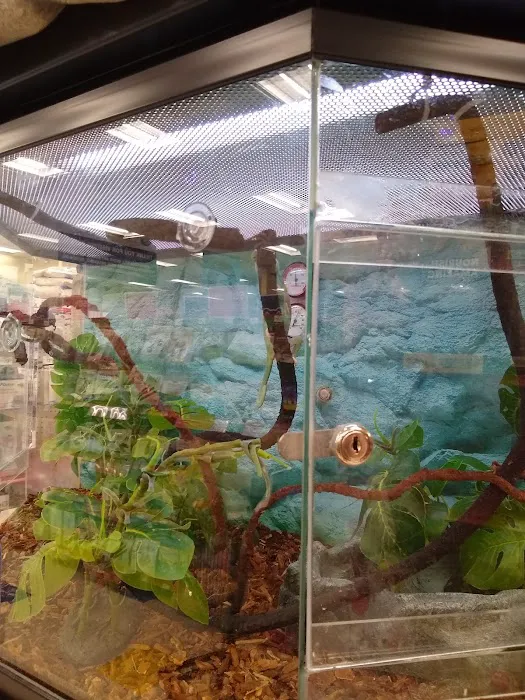 Petco Picture 10