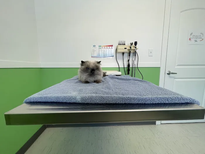 Milton Veterinary Hospital PC Picture 3