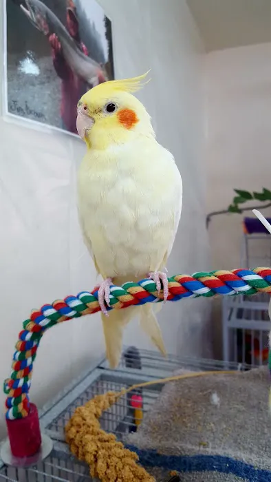Feather Farm Picture 1