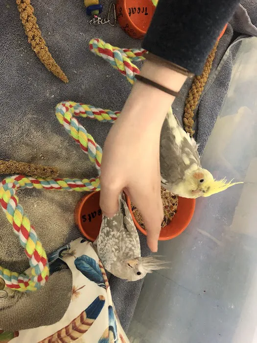 Feather Farm Picture 9