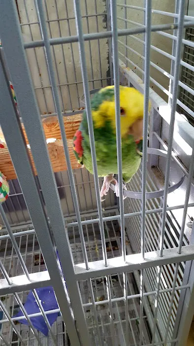 Feather Farm Picture 2