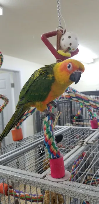 Feather Farm Picture 10