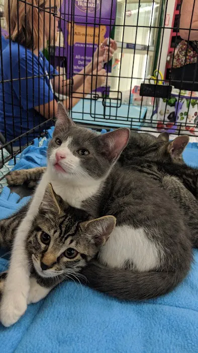 Petco Picture 2