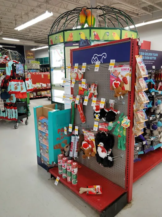 Petco Picture 3