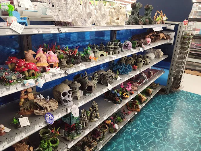 Petco Picture 4