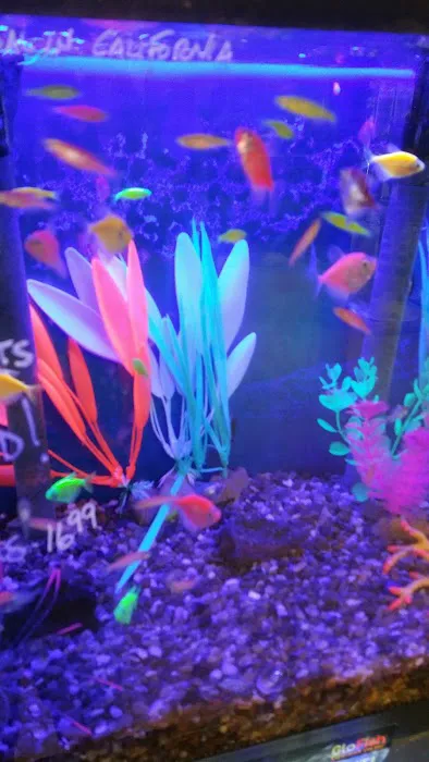 Sea Splendor Aquarium Picture 3