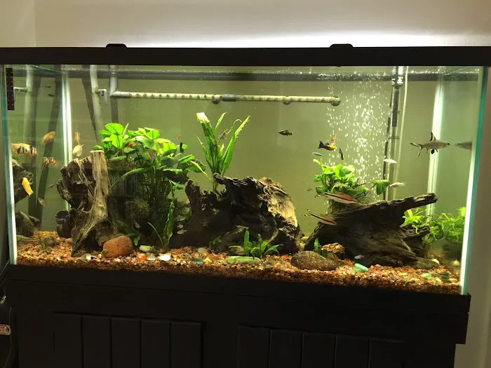 Sea Splendor Aquarium Picture 1
