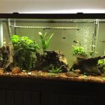 Sea Splendor Aquarium