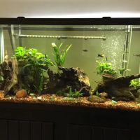 Sea Splendor Aquarium ico