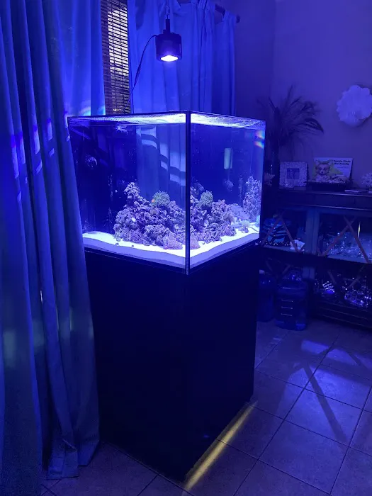 Sea Splendor Aquarium Picture 4