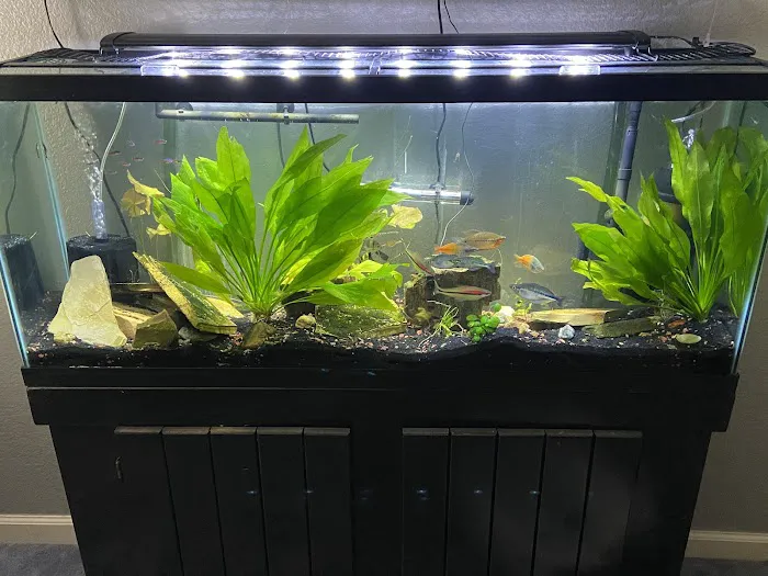 Sea Splendor Aquarium Picture 7