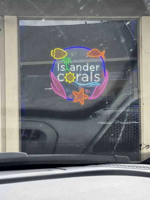 Islander Corals Picture 8