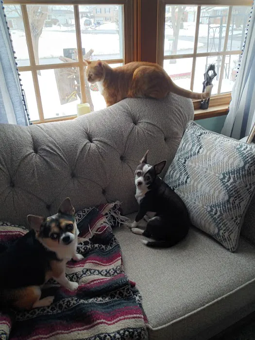 Total Veterinary Care Cicero Picture 8