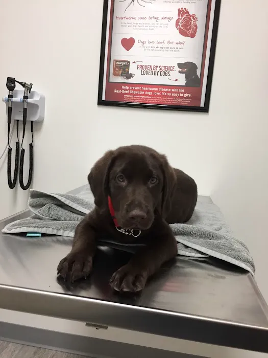 Total Veterinary Care Cicero Picture 2