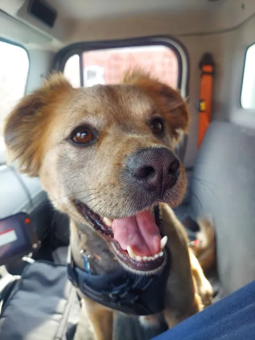 Total Veterinary Care Cicero Picture 3