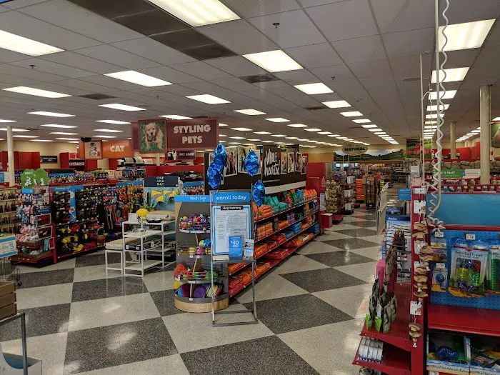 Petco Picture 7