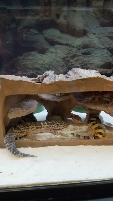 Petco Picture 2