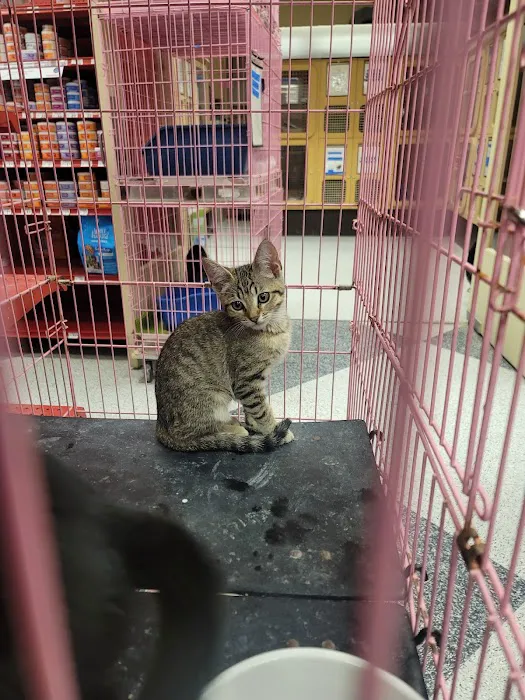 Petco Picture 3