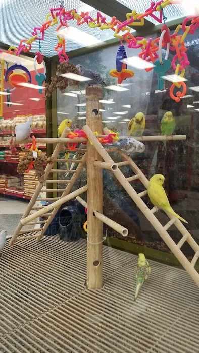 Petco Picture 9