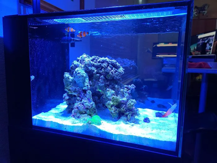 AquaLifeStudio (call for appointment) Picture 2