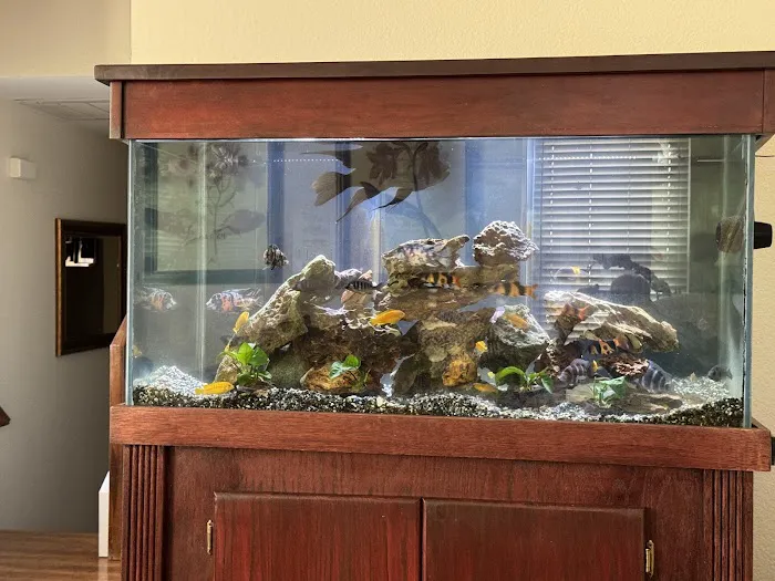 AquaLifeStudio (call for appointment) Picture 5