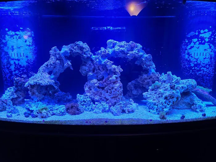 AquaLifeStudio (call for appointment) Picture 8