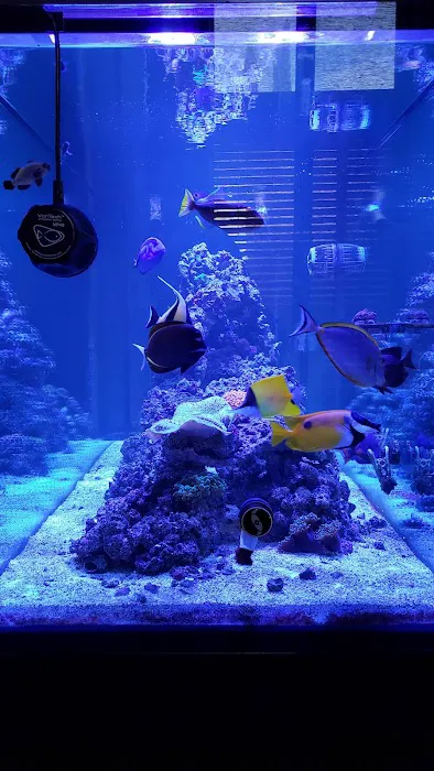 AquaLifeStudio (call for appointment) Picture 4
