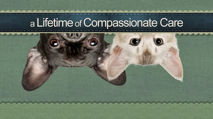 South Shore Veterinary Hospital Picture 4
