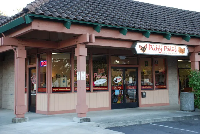 The Little Pet Shoppe Picture 3