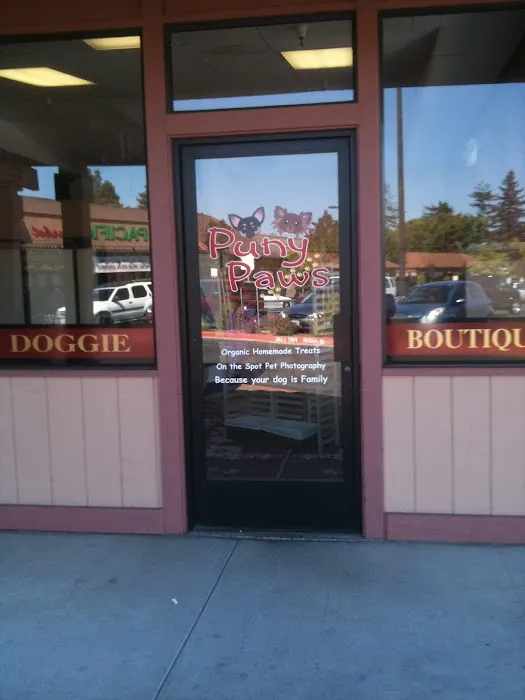 The Little Pet Shoppe Picture 8