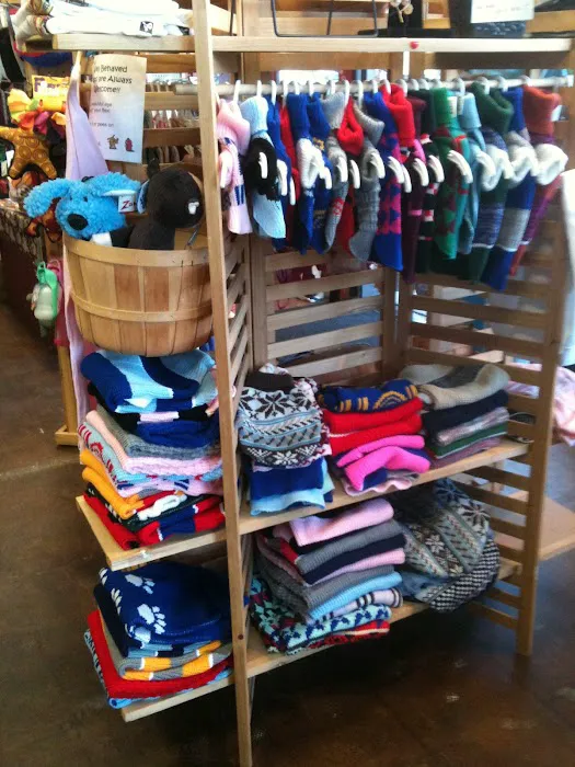 The Little Pet Shoppe Picture 5