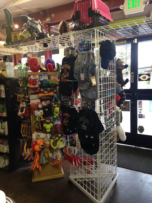 The Little Pet Shoppe Picture 10