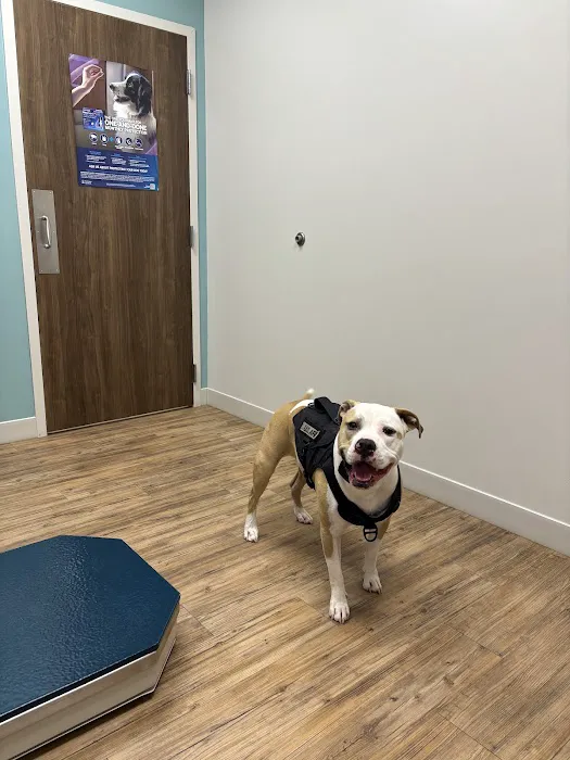 Highland Animal Hospital Picture 3